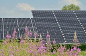Using ground-mounted solar panels at home