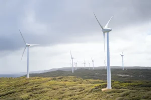renewable energy - wind